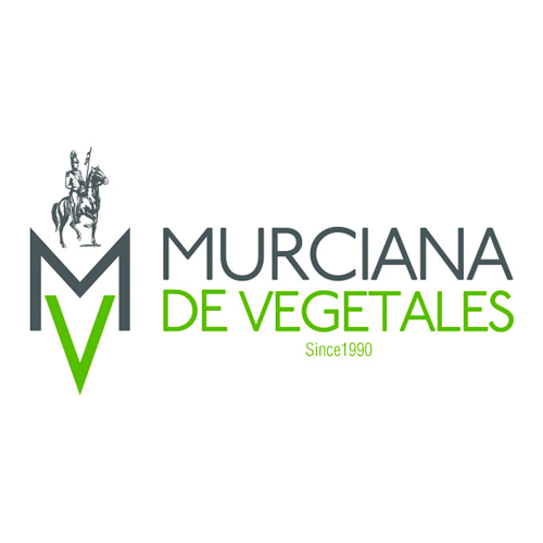 GRUPO HORTOFRUTÍCOLA MURCIANA DE VEGETALES, S.L.