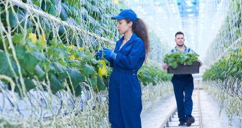MENCIÓN GESTIÓN DE RECURSOS HÍDRICOS PARA AGRICULTURA